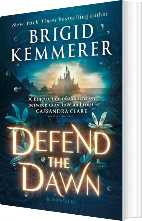 Defend The Dawn - Brigid Kemmerer - English Book