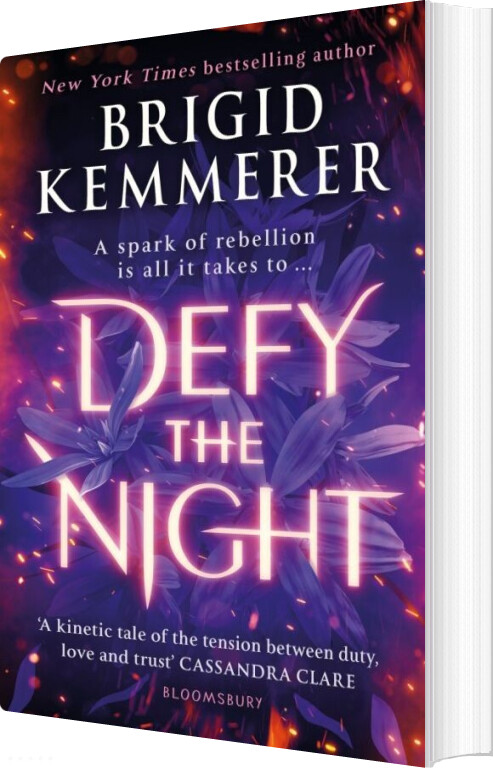 Defy The Night - Brigid Kemmerer - English Book