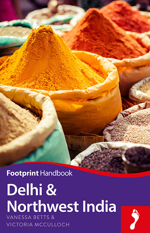 Billede af Delhi & Northwest India Handbook - Venessa Betts - English Book
