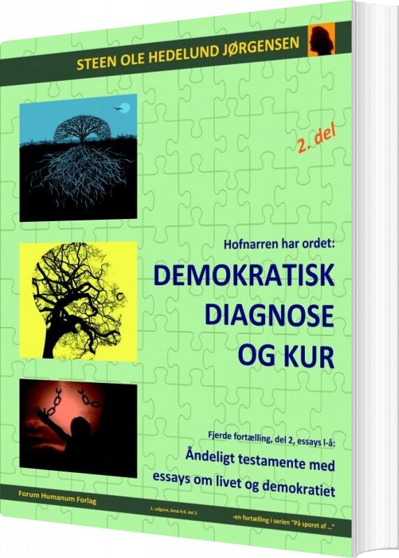 Billede af Demokratisk Diagnose Og Kur - Steen Ole Hedelund Jørgensen - Bog
