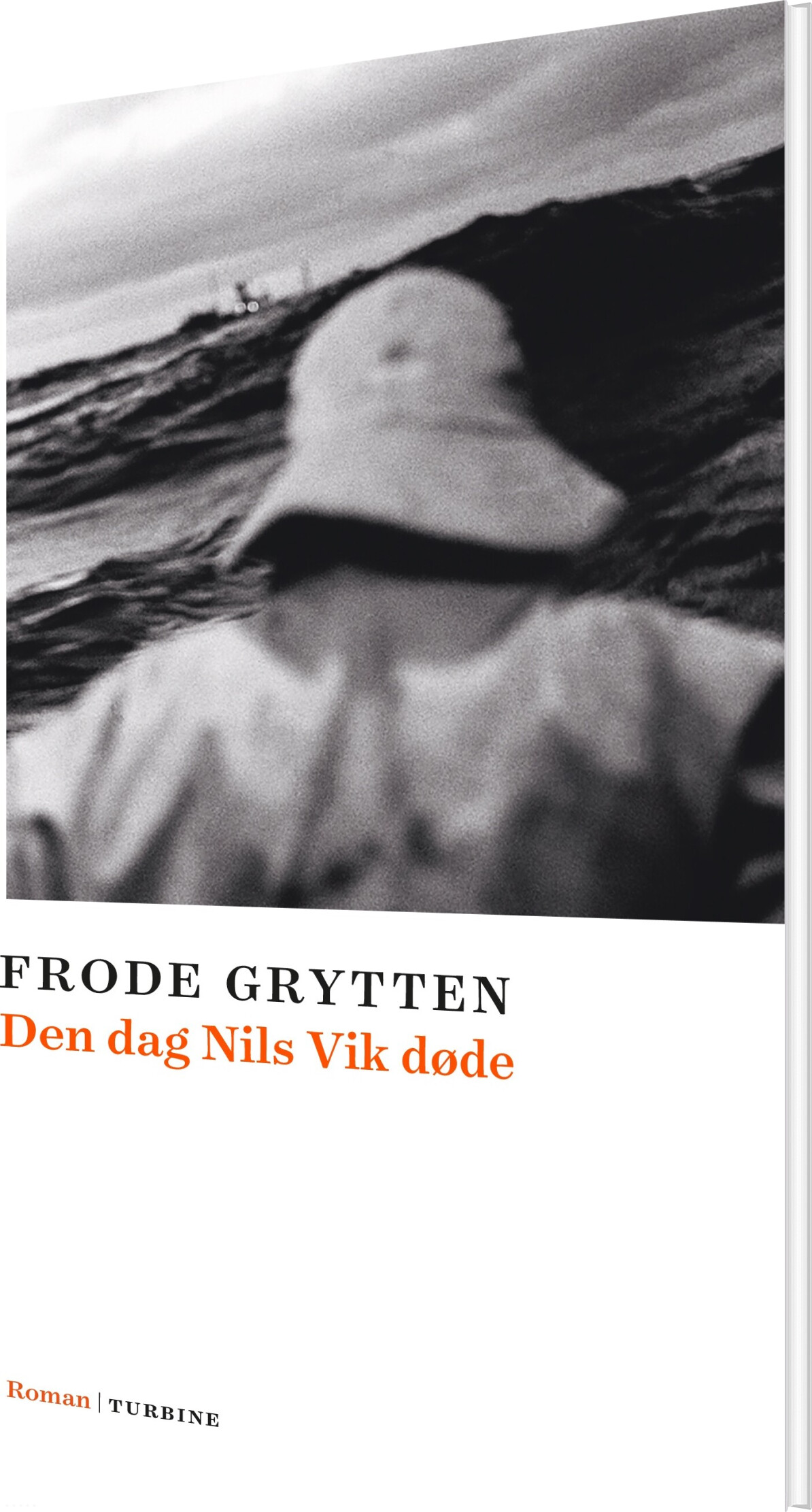 Billede af Den Dag Nils Vik Døde - Frode Grytten - Bog