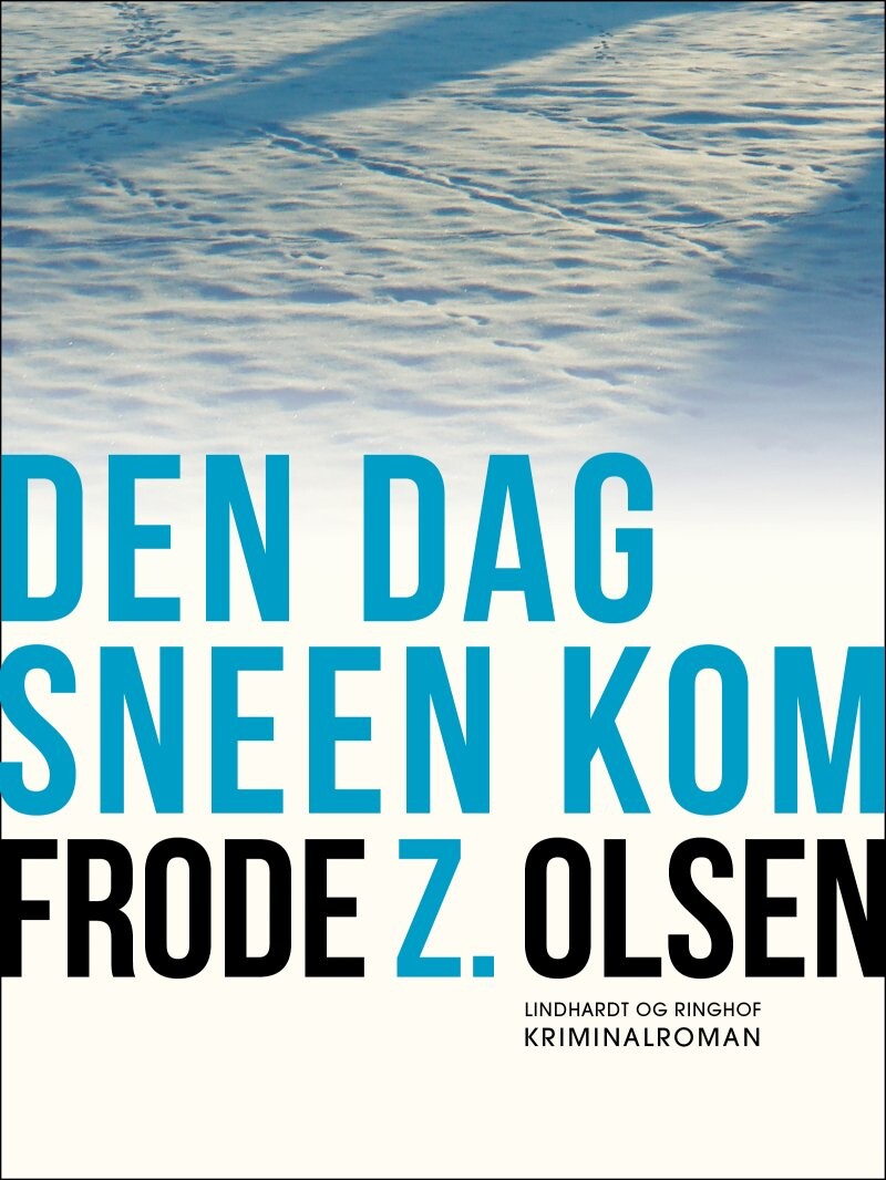 Billede af Den Dag Sneen Kom - Frode Z. Olsen - Bog