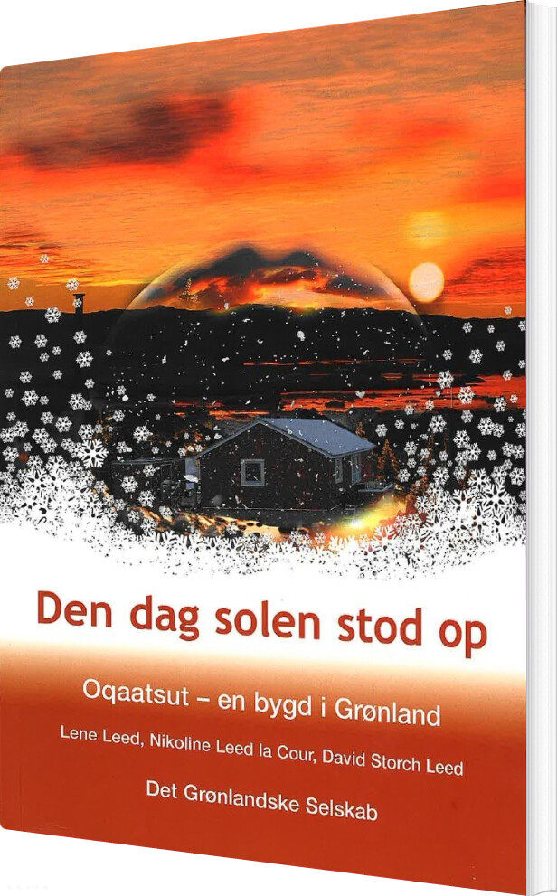 Billede af Den Dag Solen Stod Op - Lene Leed - Bog