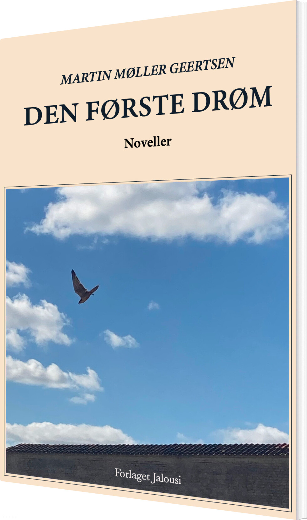 Den Første Drøm - Martin Møller Geertsen - Bog