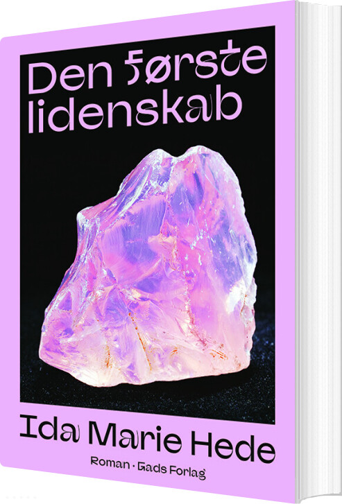 Billede af Den Første Lidenskab - Ida Marie Hede - Bog