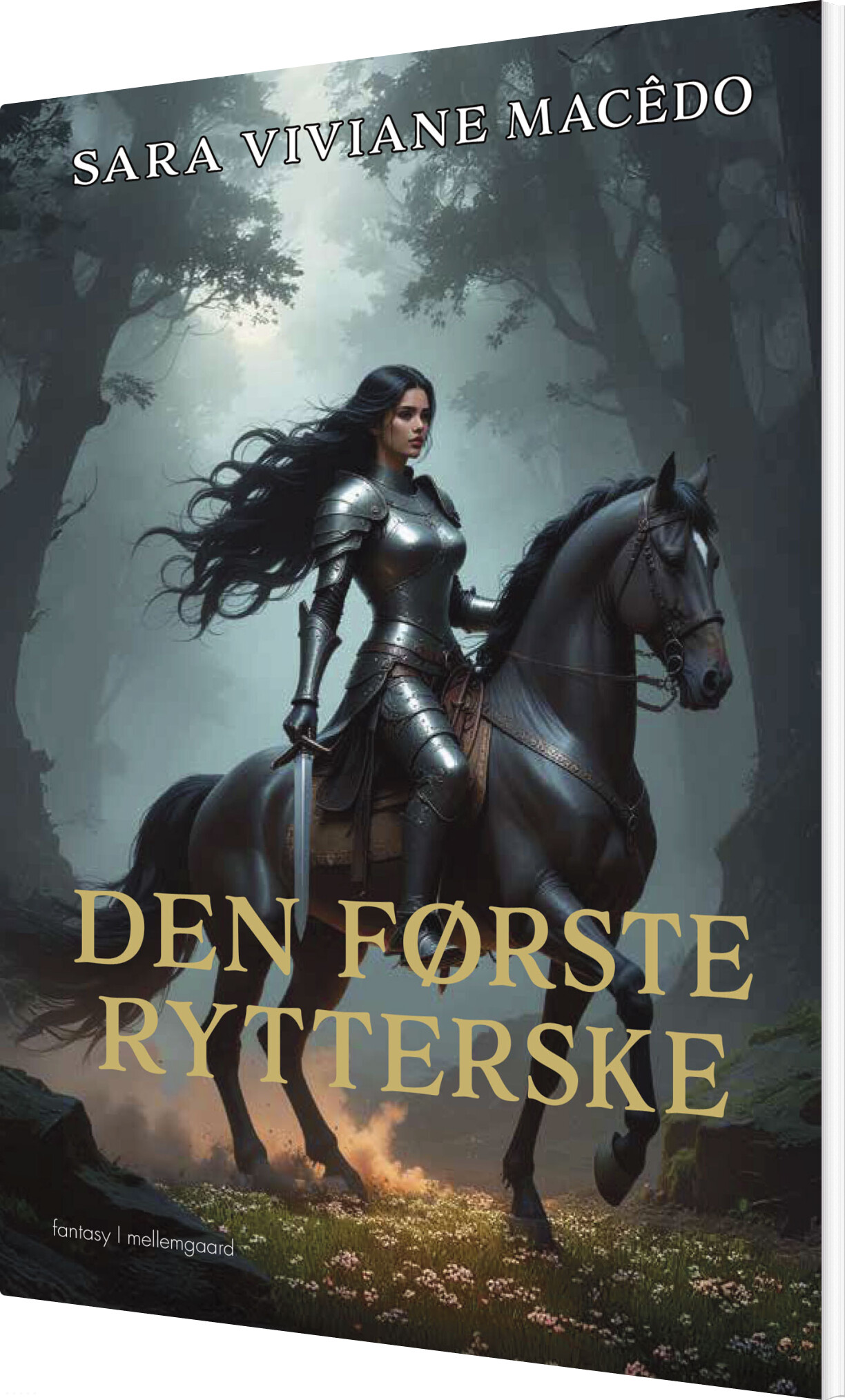 Den Første Rytterske - Sara Viviane Macêdo - Bog