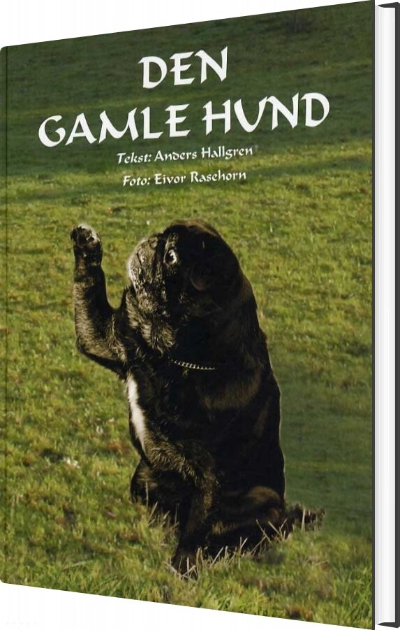 Billede af Den Gamle Hund - Anders Hallgren - Bog