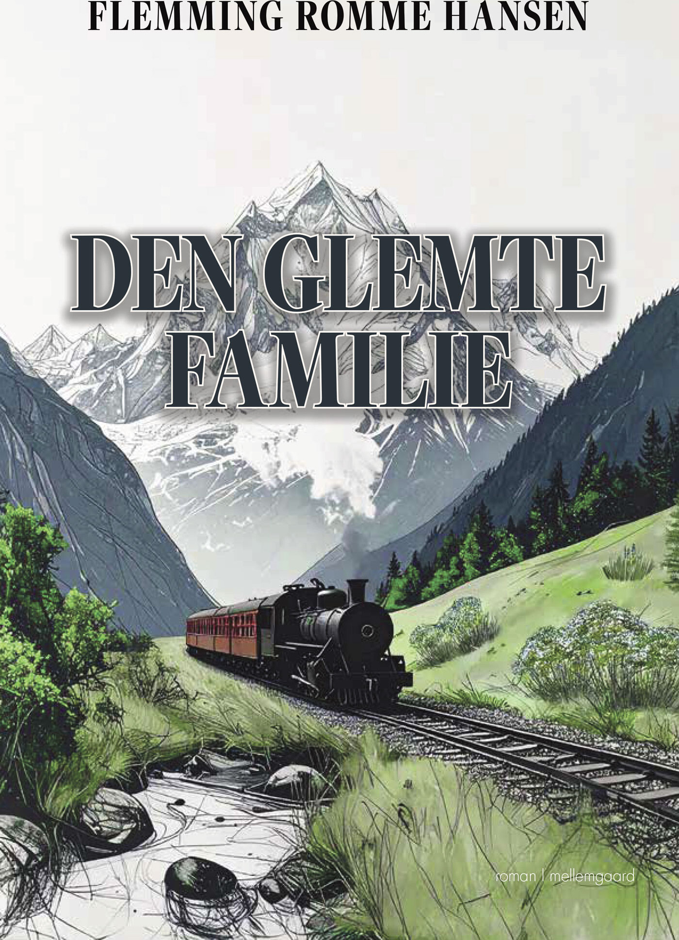Den Glemte Familie - Flemming Romme Hansen - Bog