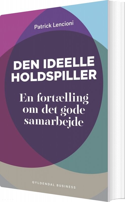 Den Ideelle Holdspiller - Patrick Lencioni - Bog