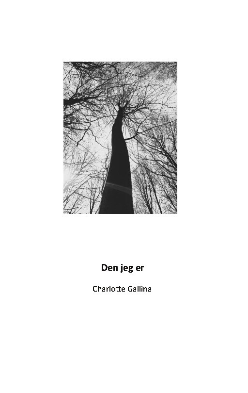 Den Jeg Er - Charlotte Gallina - Bog