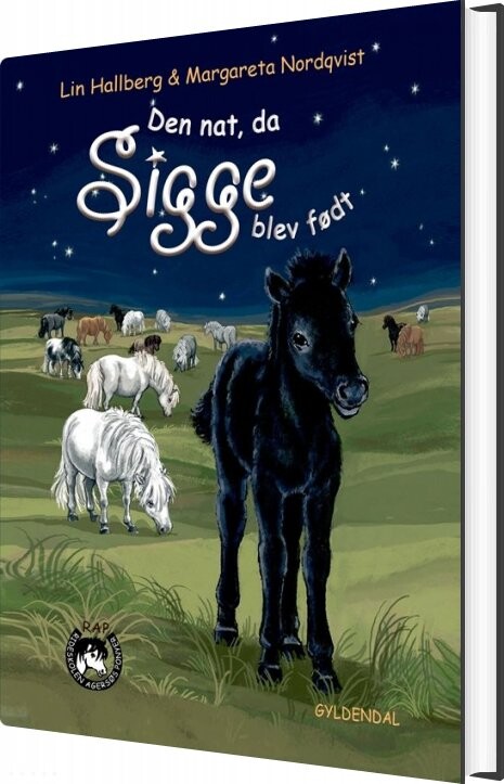 Sam Og Sigge 2 - Den Nat Da Sigge Blev Født - Lin Hallberg - Bog