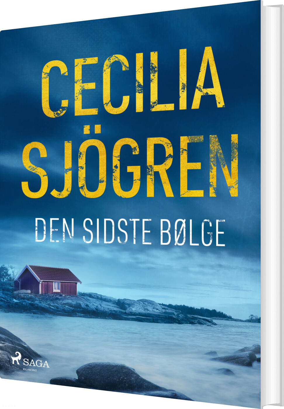 Den Sidste Bølge - Cecilia Sjögren - Bog