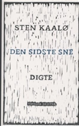 Billede af Den Sidste Sne - Sten Kaalø - Bog