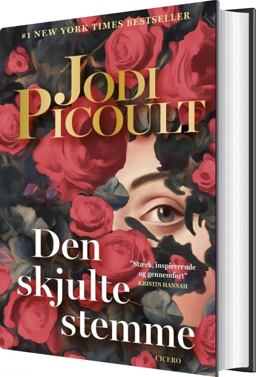 Den Skjulte Stemme - Jodi Picoult - Bog