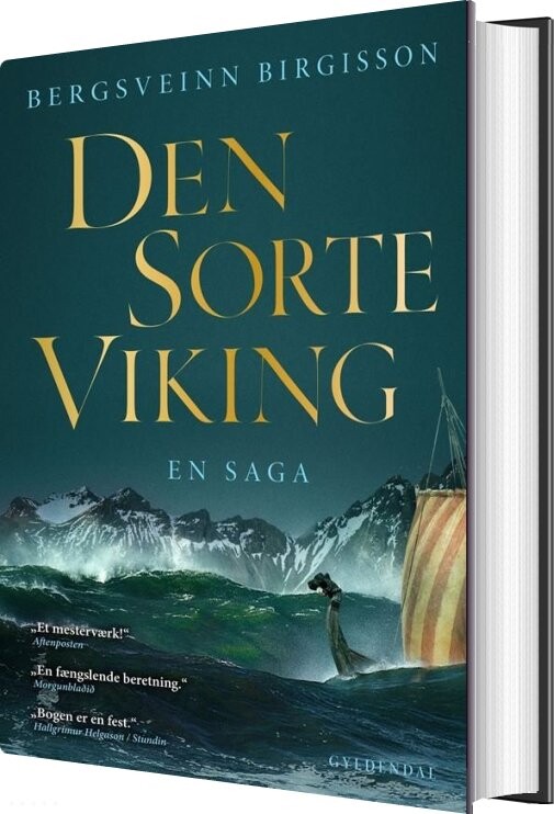 Billede af Den Sorte Viking - Bergsveinn Birgisson - Bog