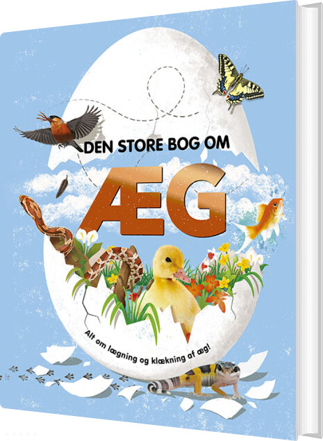 Billede af Den Store Bog Om æg - Diverse - Bog hos Gucca.dk