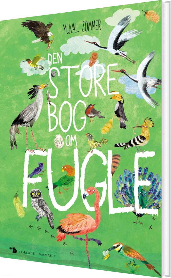 Billede af Den Store Bog Om Fugle - Yuval Zommer - Bog