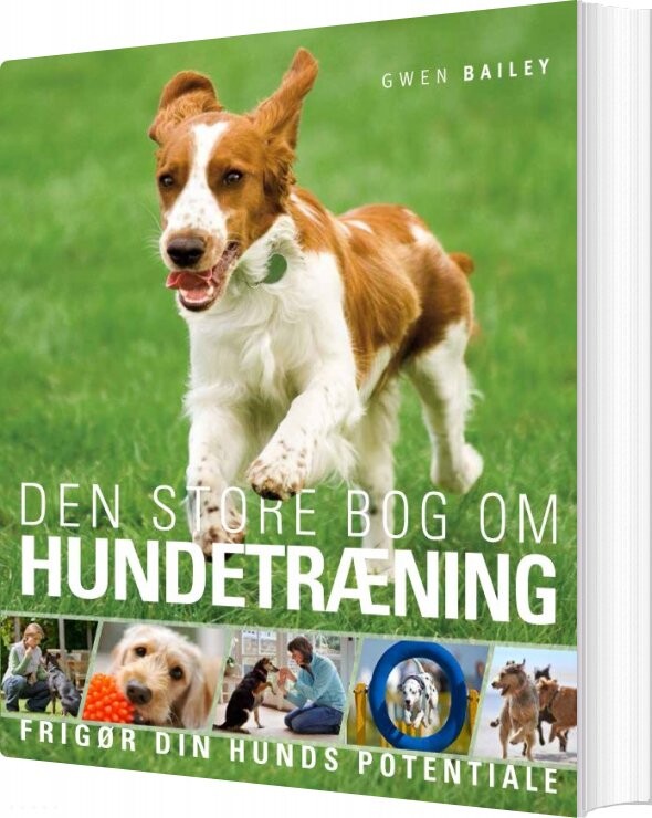 Den Store Bog Om Hundetræning - Gwen Bailey - Bog