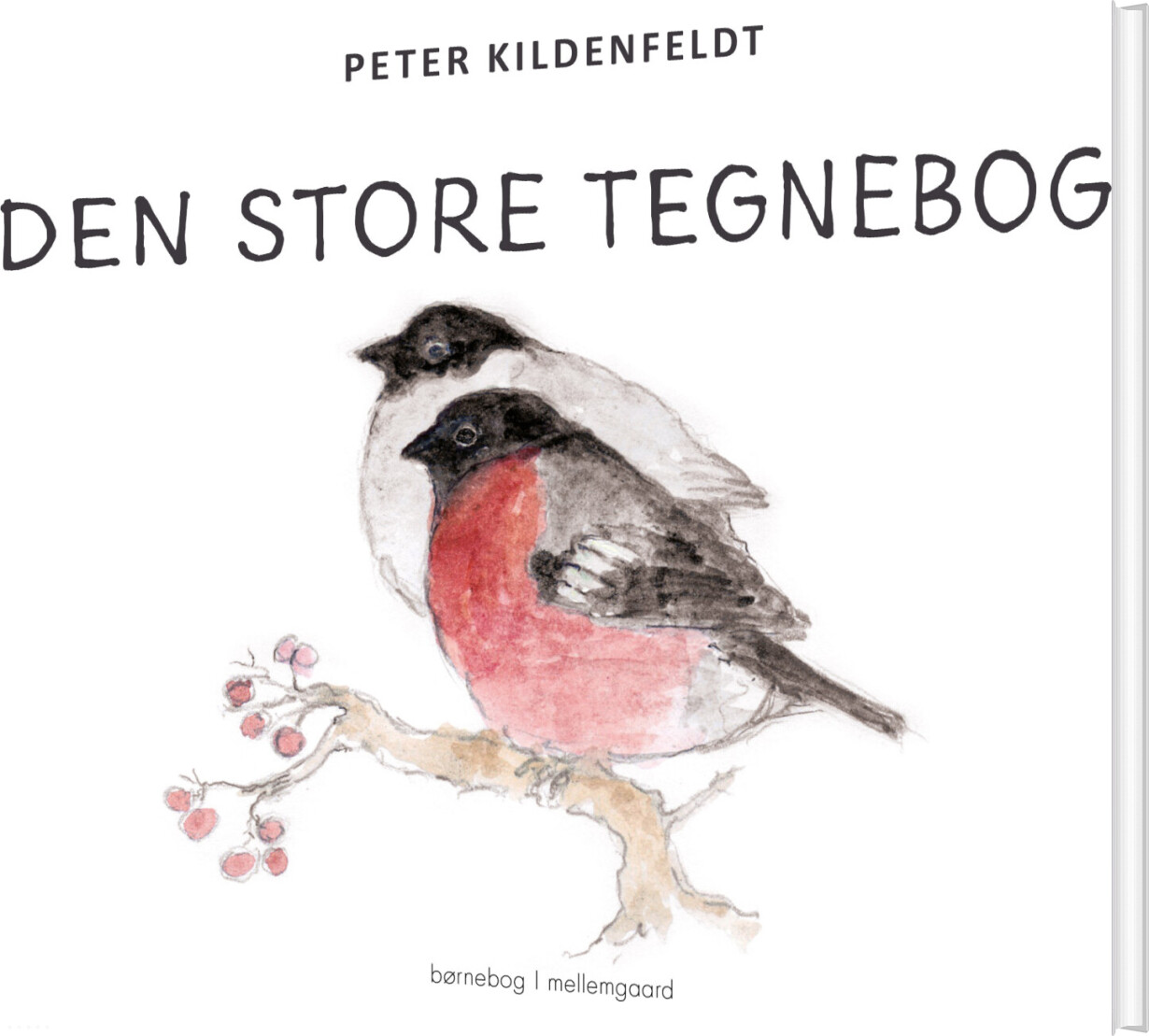 Den Store Tegnebog - Peter Kildenfeldt - Bog