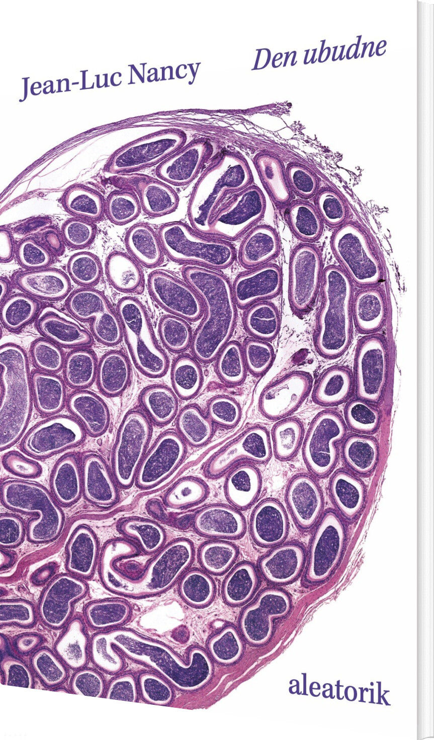 Den Ubudne - Jean-luc Nancy - Bog