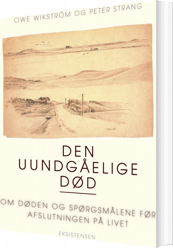 Billede af Den Uundgåelige Gåde - Owe Wikström - Bog