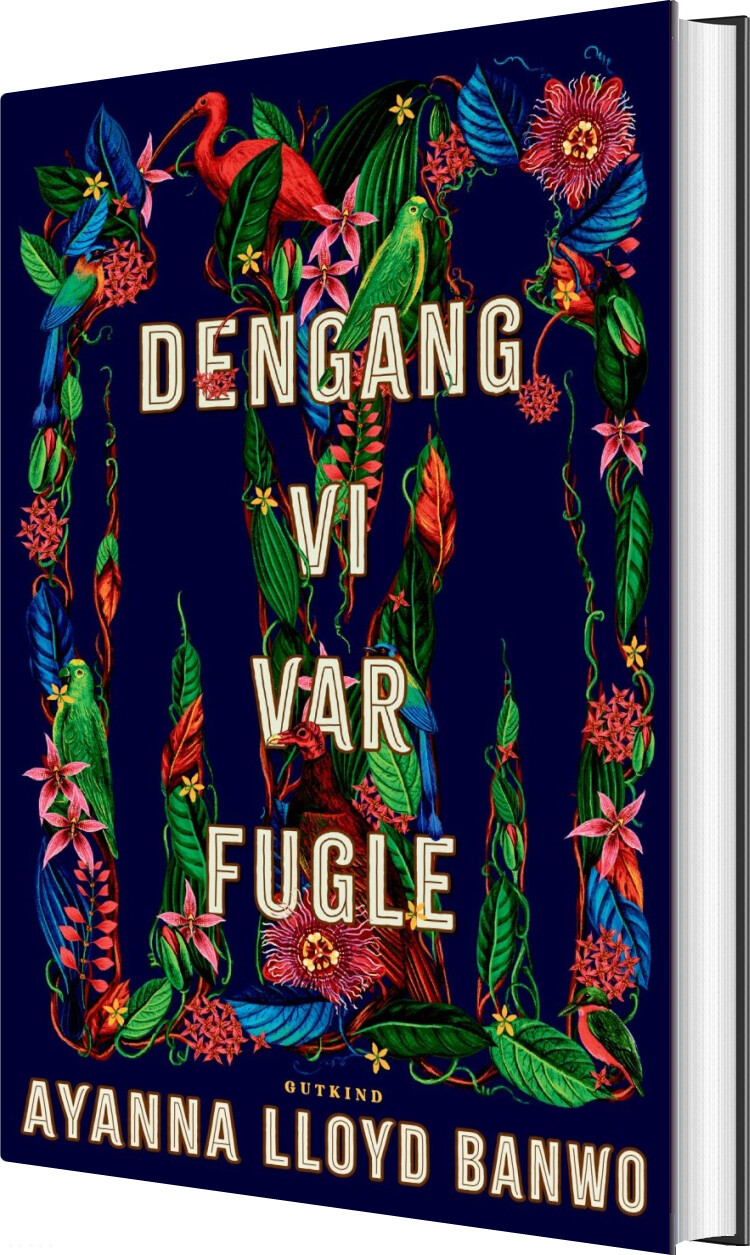 Billede af Dengang Vi Var Fugle - Ayanna Lloyd Banwo - Bog