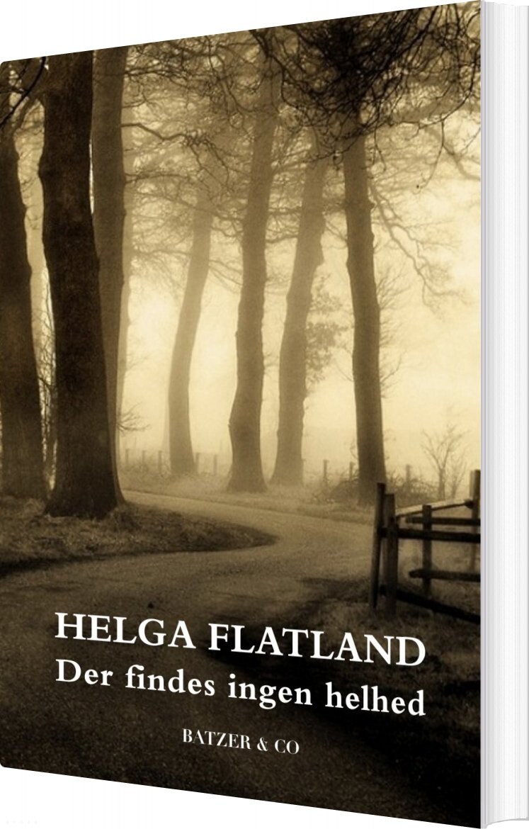 Billede af Der Findes Ingen Helhed - Helga Flatland - Bog