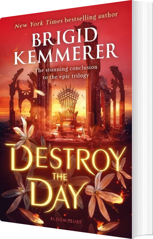 Destroy The Day - Brigid Kemmerer - English Book