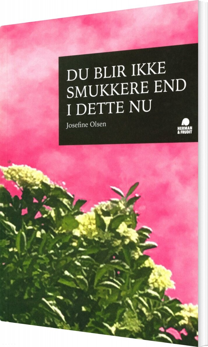 Billede af Du Blir Ikke Smukkere End I Dette Nu - Josefine Olsen - Bog