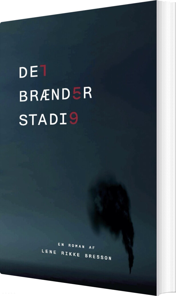 Billede af Det Brænder Stadig - Lene Rikke Bresson - Bog