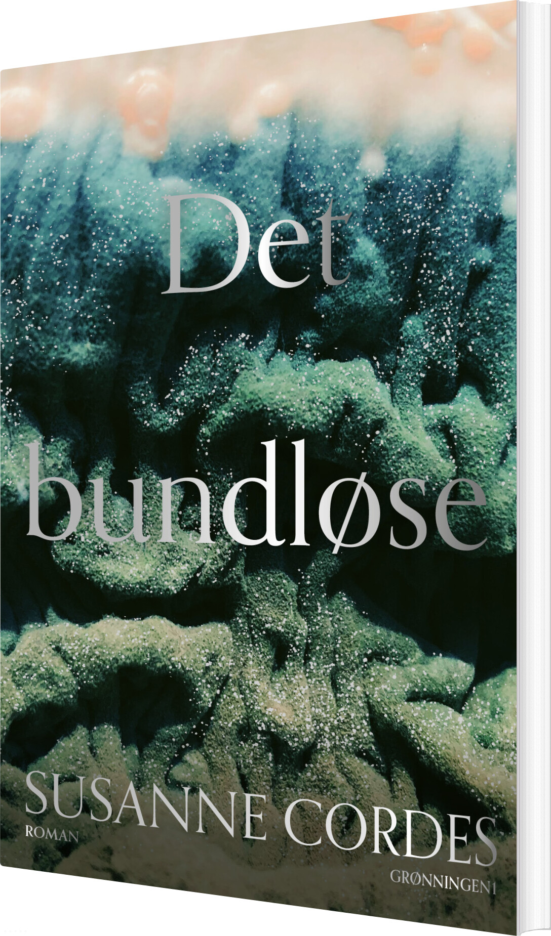Billede af Det Bundløse - Susanne Cordes - Bog