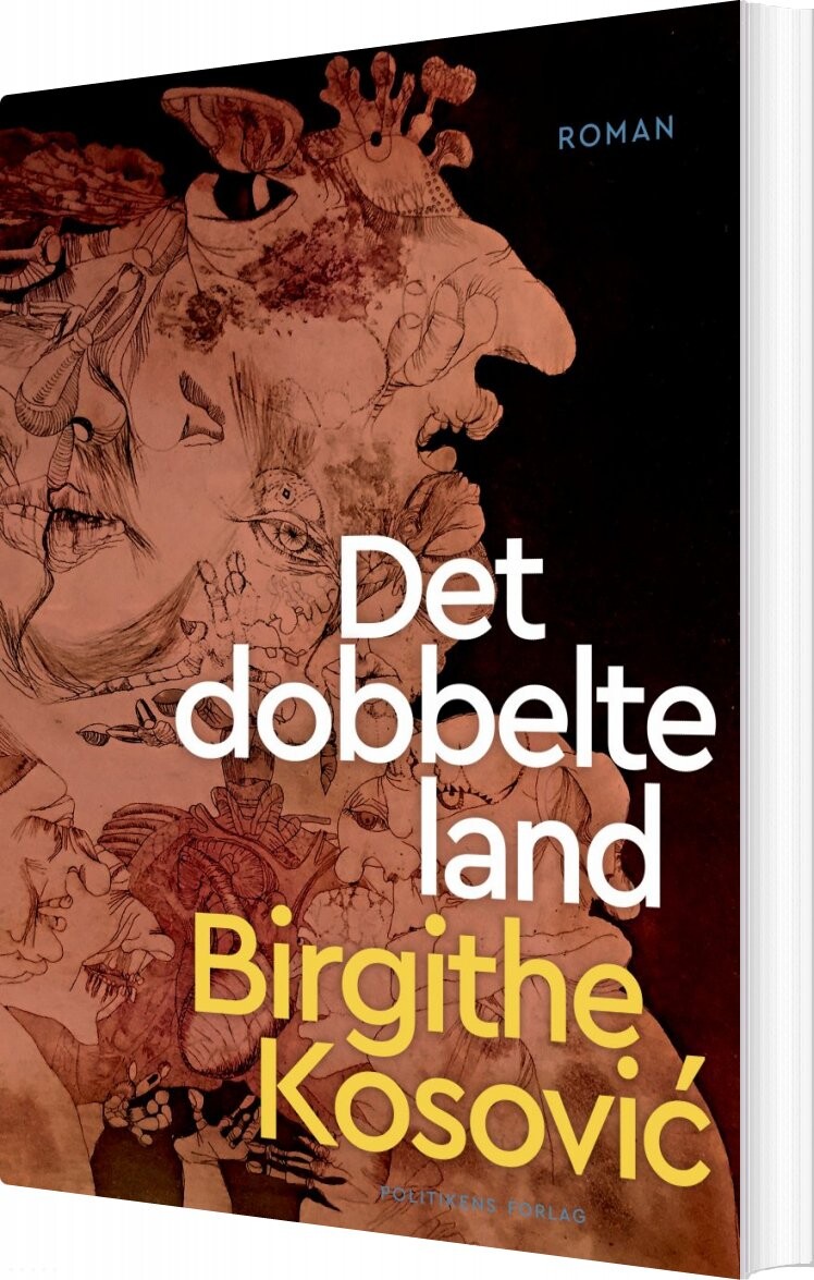 Billede af Det Dobbelte Land - Birgithe Kosovic - Bog