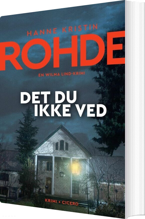 Det Du Ikke Ved - Hanne Kristin Rohde - Bog