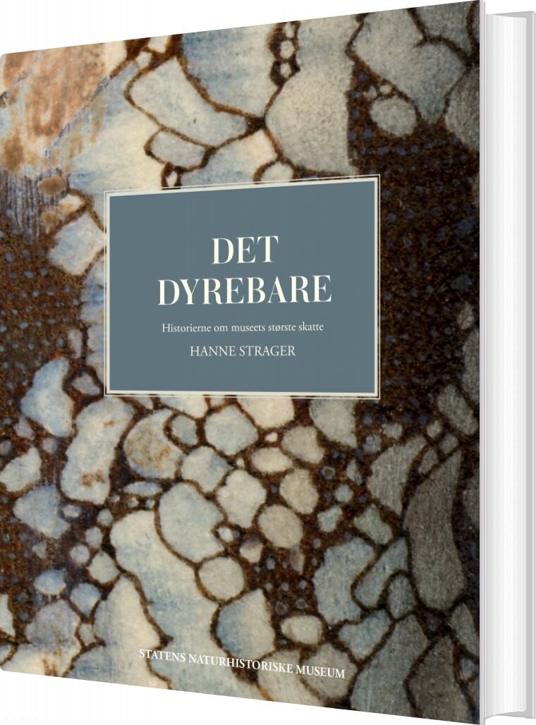 Billede af Det Dyrebare - Hanne Strager - Bog