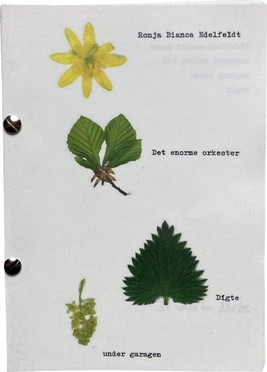 Det Enorme Orkester - Ronja Edelfeldt - Bog