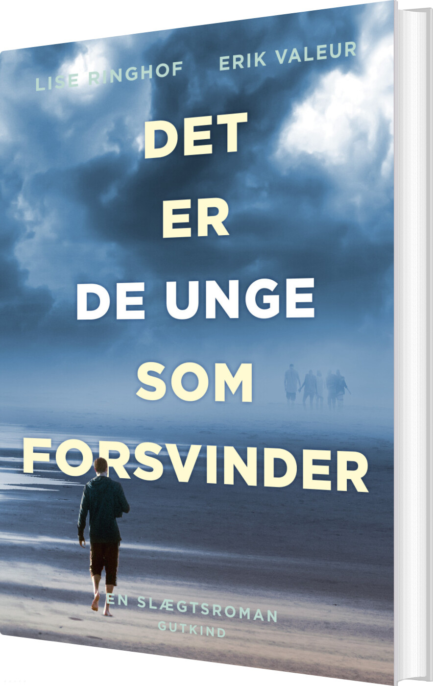 Billede af Det Er De Unge Som Forsvinder - Erik Valeur - Bog