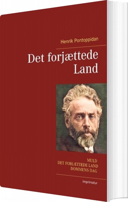 Det Forjættede Land - Henrik Pontoppidan - Bog