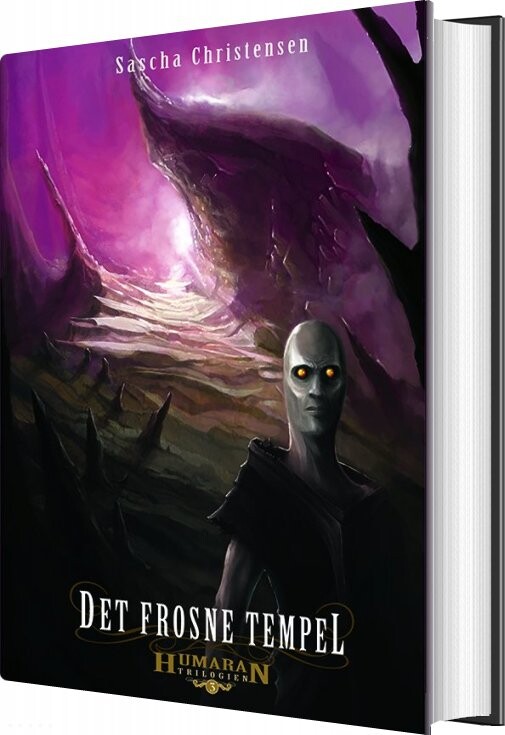 Det Frosne Tempel - Sascha Christensen - Bog