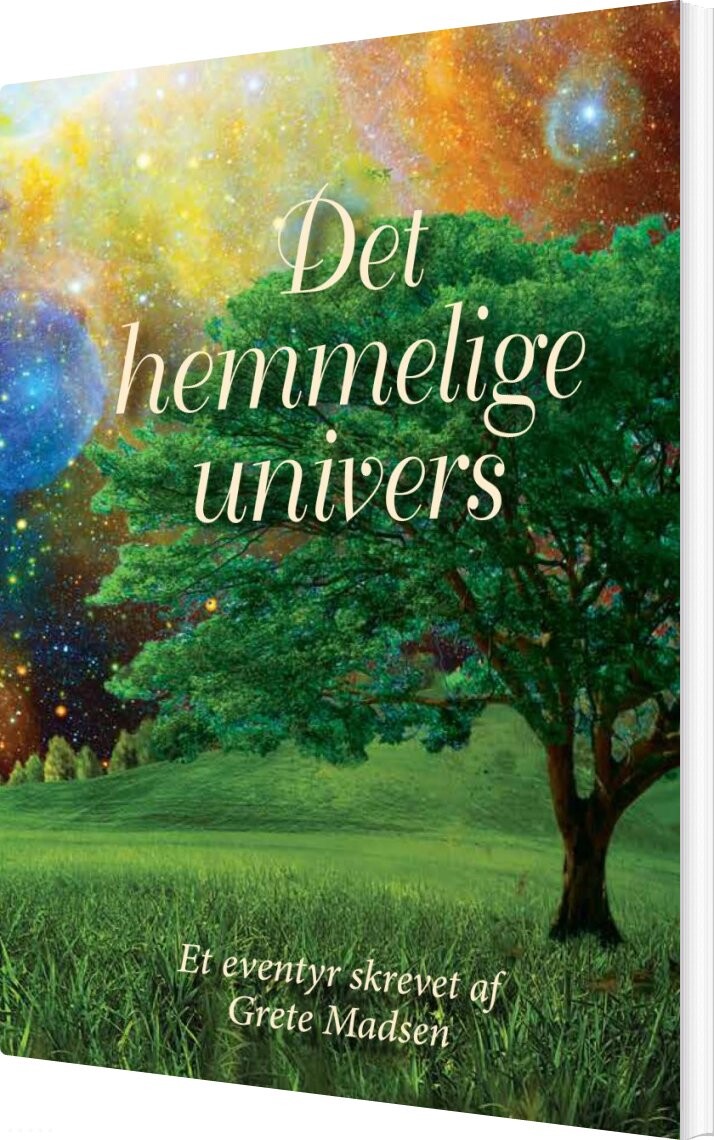 Billede af Det Hemmelige Univers - Grete Madsen - Bog