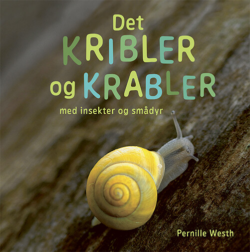 Billede af Det Kribler Og Krabler Med Insekter Og Smådyr - Pernille Westh - Bog