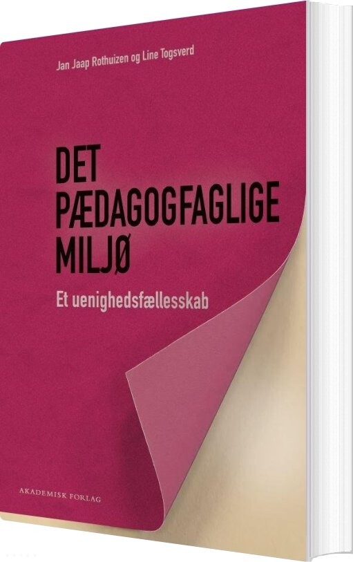 Billede af Det Pædagogfaglige Miljø - Jan Jaap Rothuizen - Bog
