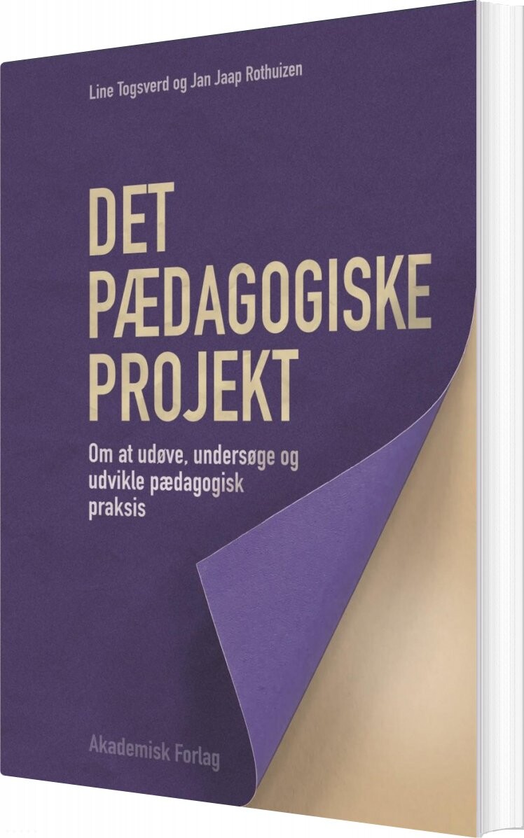 Billede af Det Pædagogiske Projekt - Jan Jaap Rothuizen - Bog