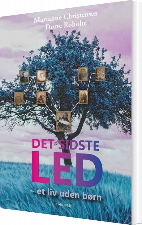 Det Sidste Led - Dorte Roholte - Bog