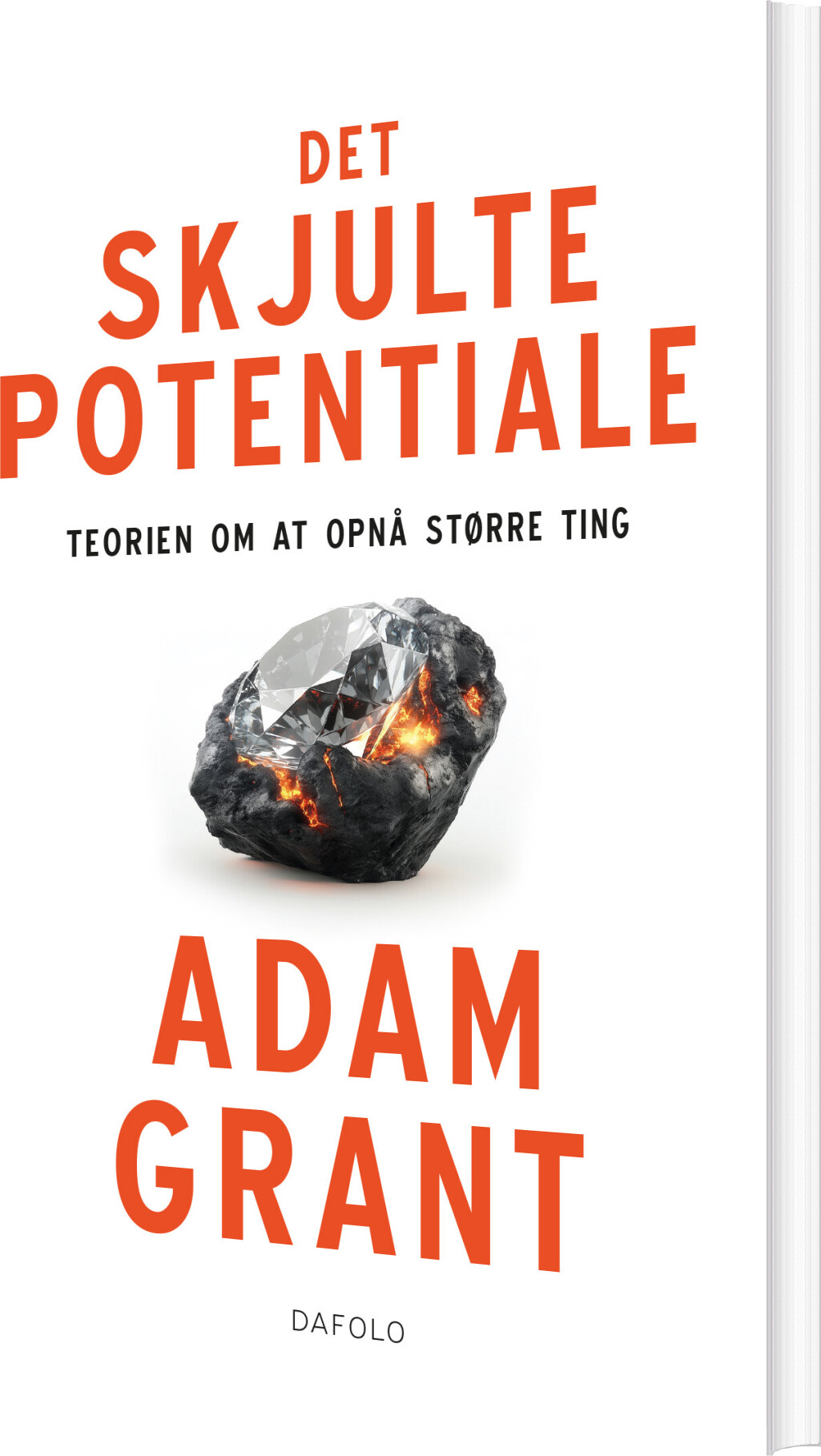 Det Skjulte Potentiale - Adam Grant - Bog