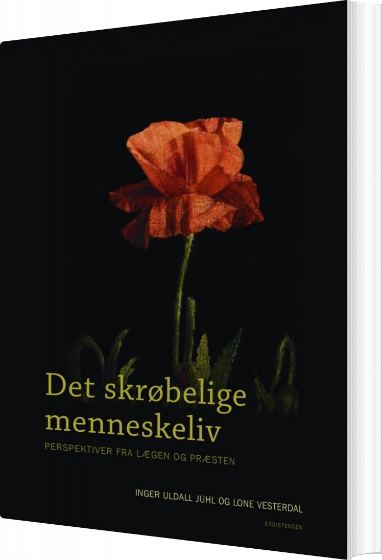 Billede af Det Skrøbelige Menneskeliv - Lone Vesterdal - Bog
