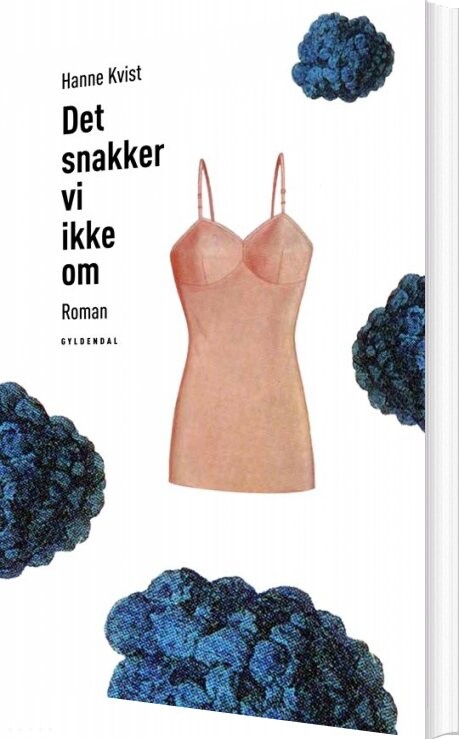 Det Snakker Vi Ikke Om - Hanne Kvist - Bog