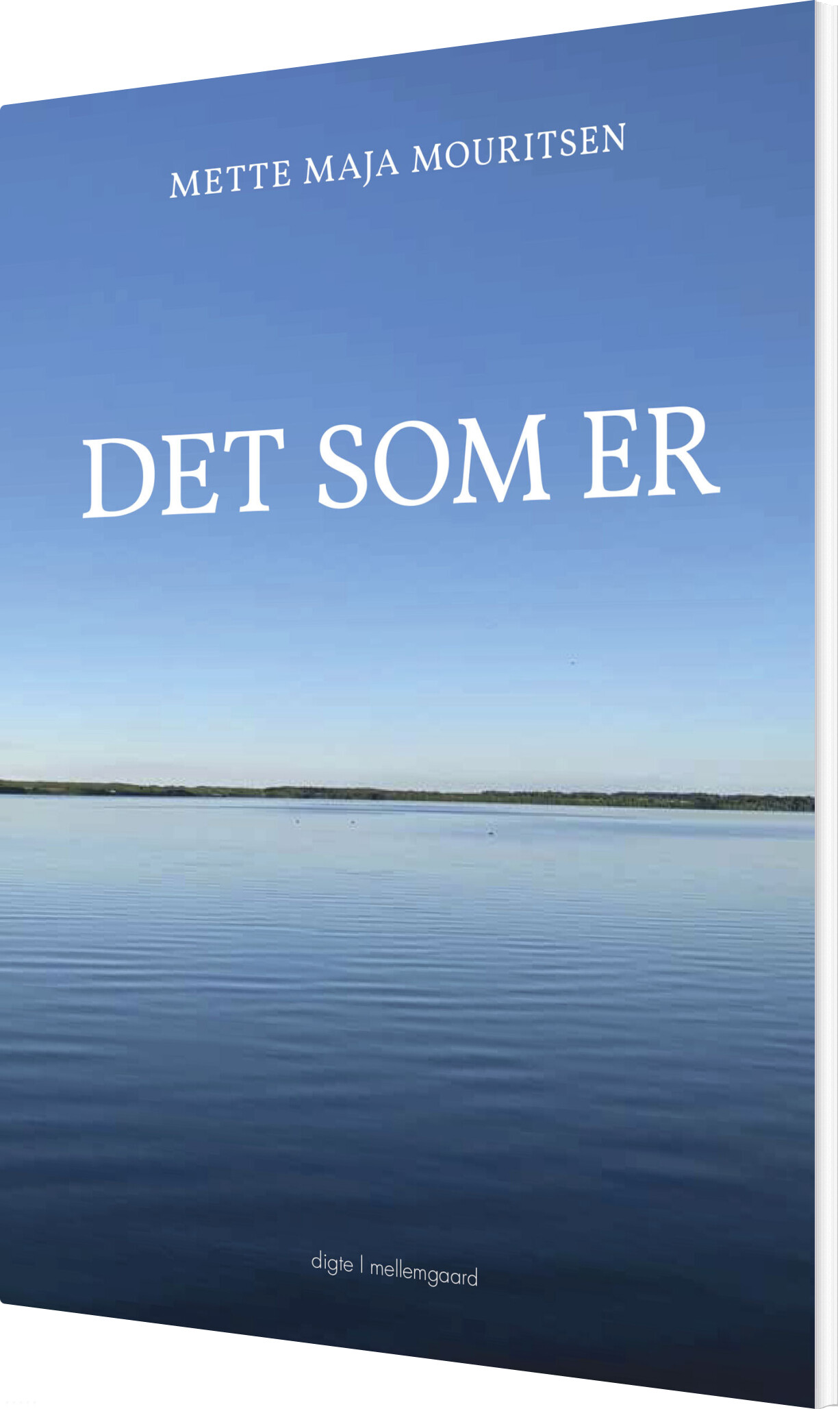 Det Som Er - Mette Maja Mouritsen - Bog