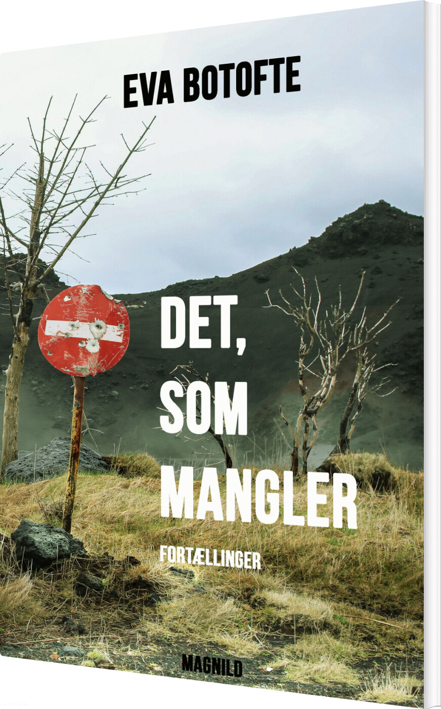 Billede af Det, Som Mangler - Eva Botofte - Bog