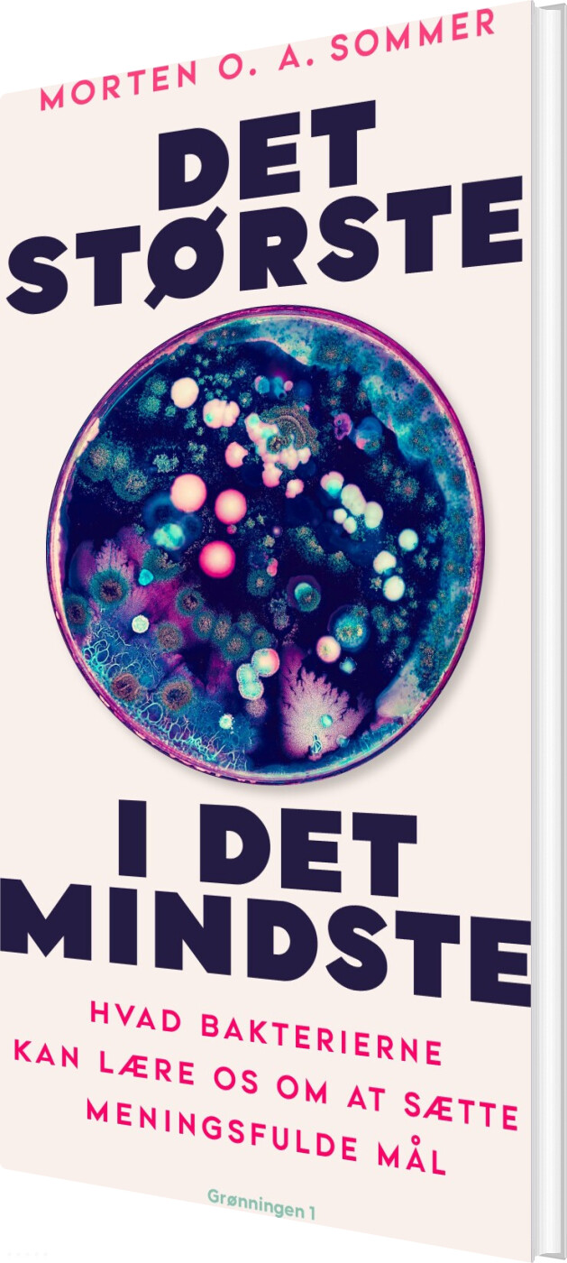 Billede af Det Største I Det Mindste - Morten O. A. Sommer - Bog