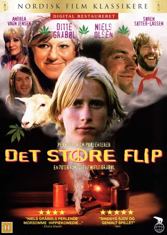 Det Store Flip - DVD - Film